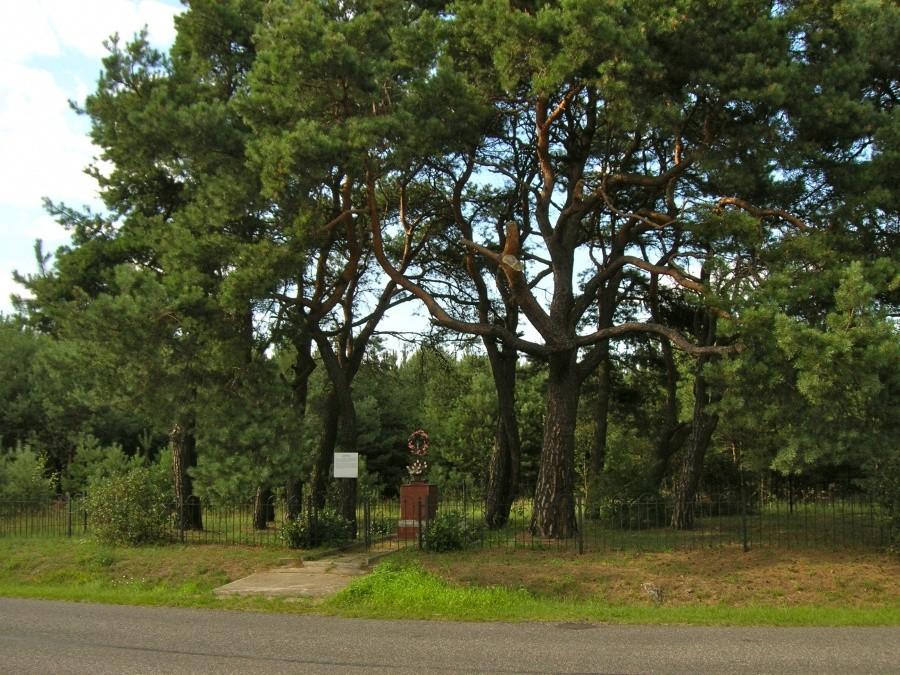 Cmentarz choleryczny