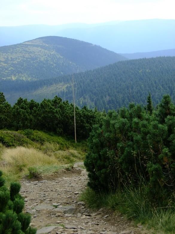Szlak z Šeráka na Cervonohorske Sedlo
