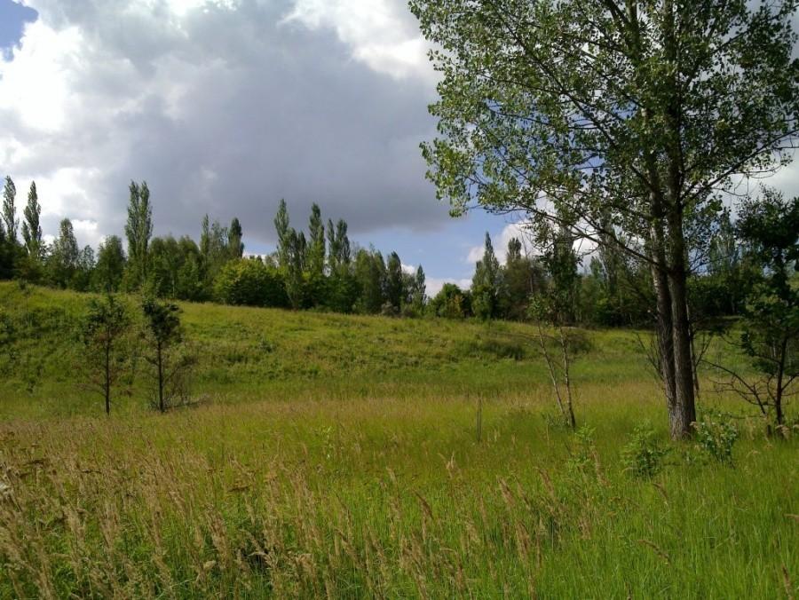 Konin - hałdy