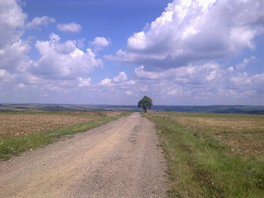 Droga do Kąkolówki