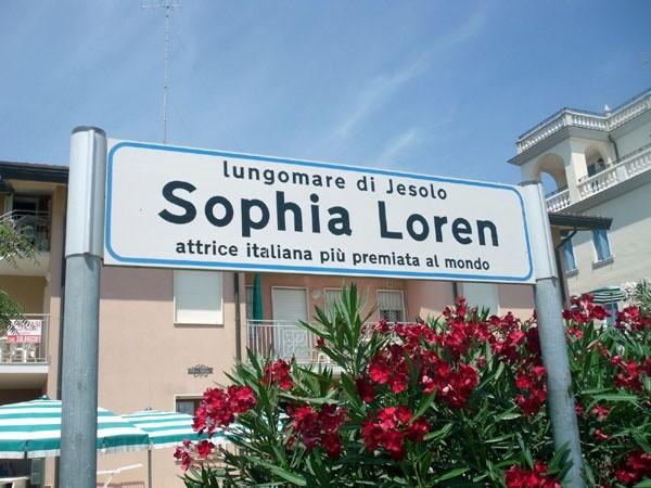 Alejka czy coś tam Sophi Loren