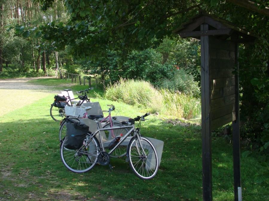 Widok z plaży w Rieth 4