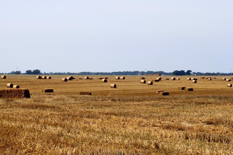 słoma gotowa do zwiezienia
