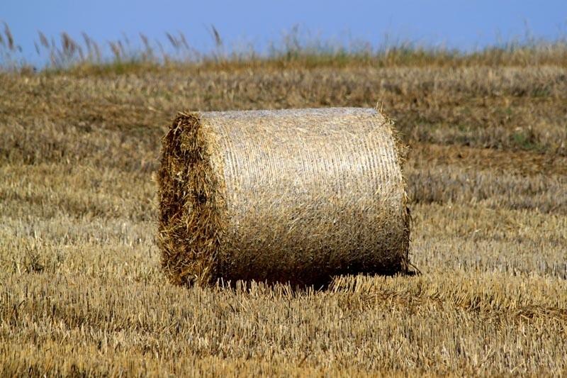 słoma gotowa do zwiezienia