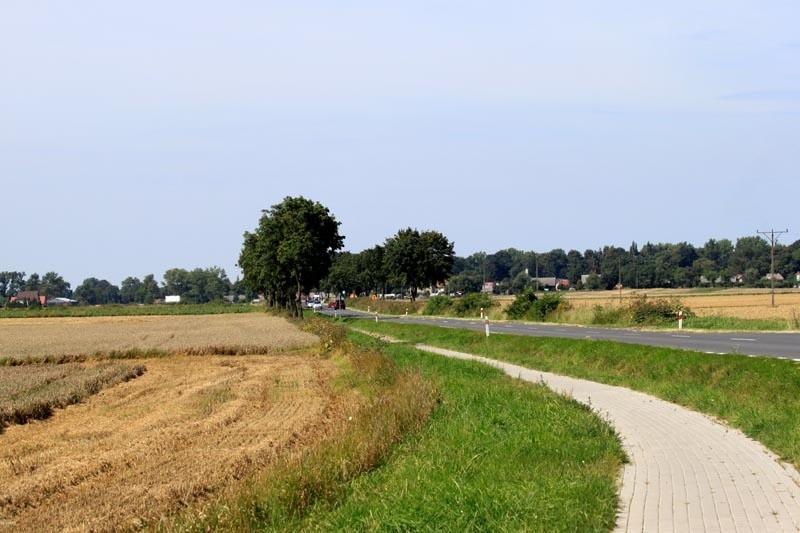na drodze z Barnima do Warnic
