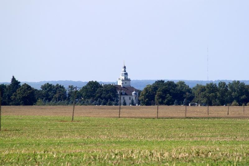 widok z oddali na pałac w Koszewie