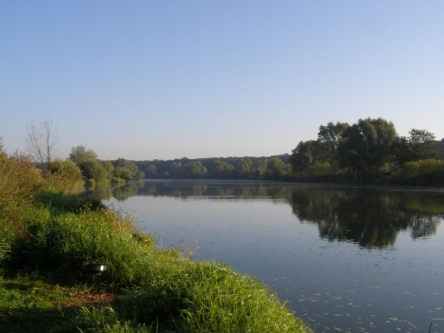 Poranna Odra