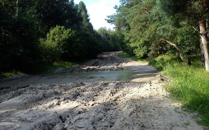 Tędy jechaliśmy. W 100% poligonowe MTB :)