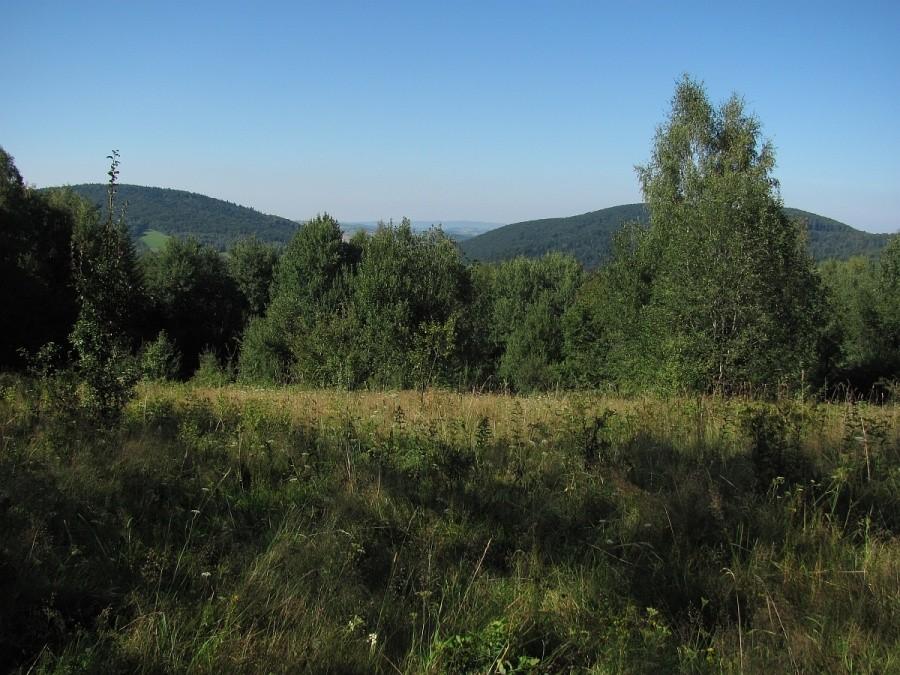 marne widoki znad Bielanki