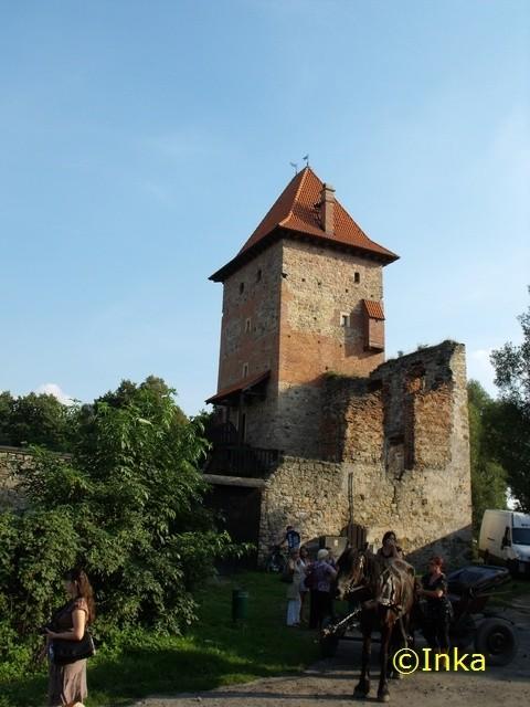 Ruiny zamku w Chudowie od strony bocznej