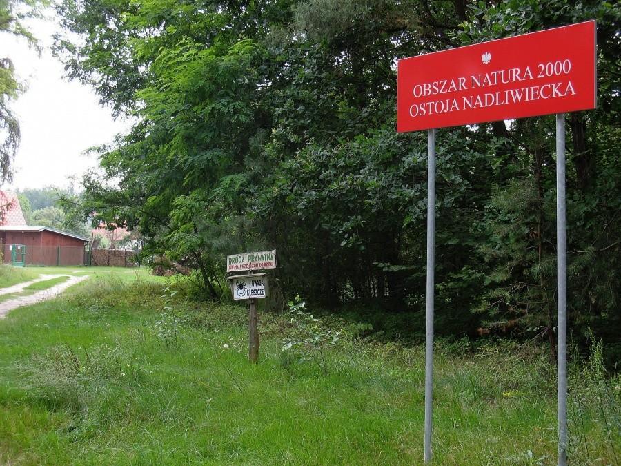 Ostoja Nadliwiecka - czyli uwaga kleszcze