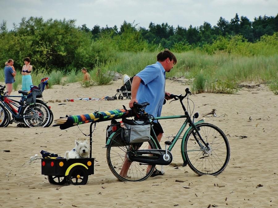 Plażowicze w Mikoszewie;)