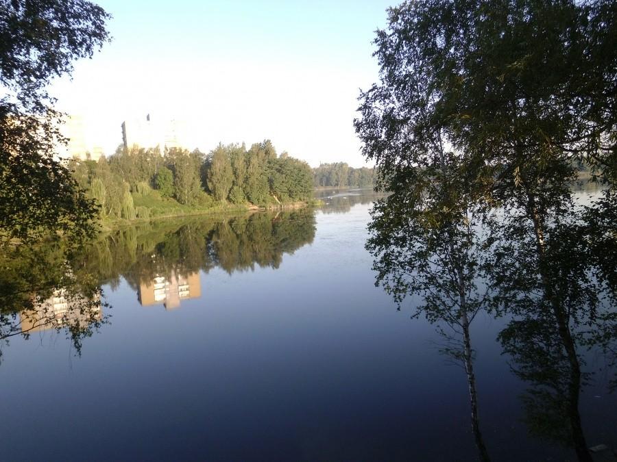 Stawiki o poranku