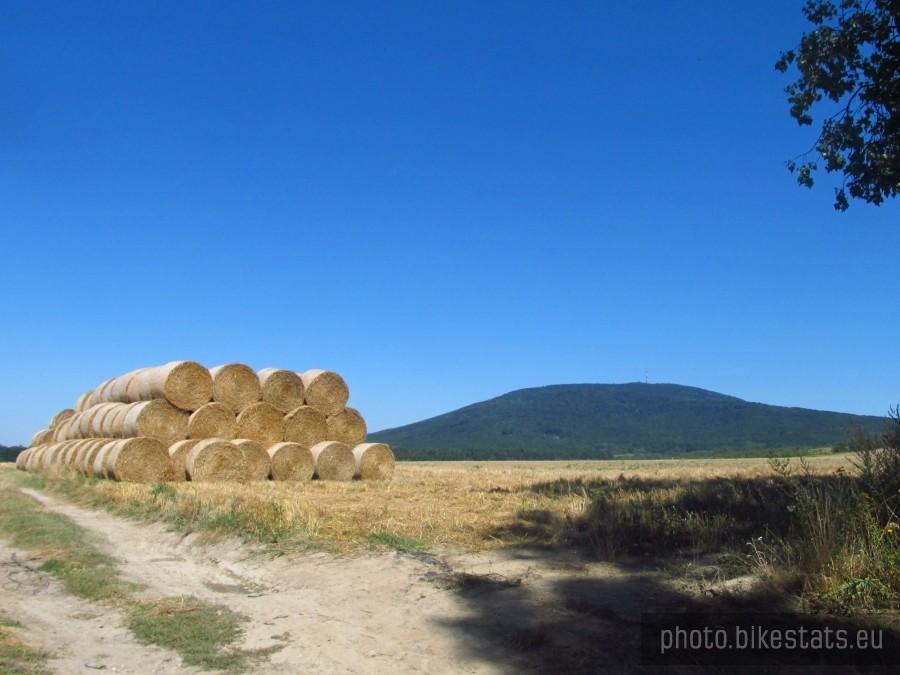 cały upalny dzień śledziła nasze ruchy