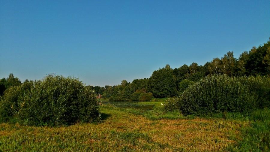 Nad zalewem