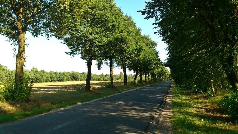 Garbatka