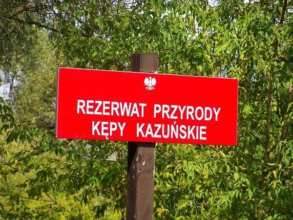 Rezerwat Kępy Kazuńskie