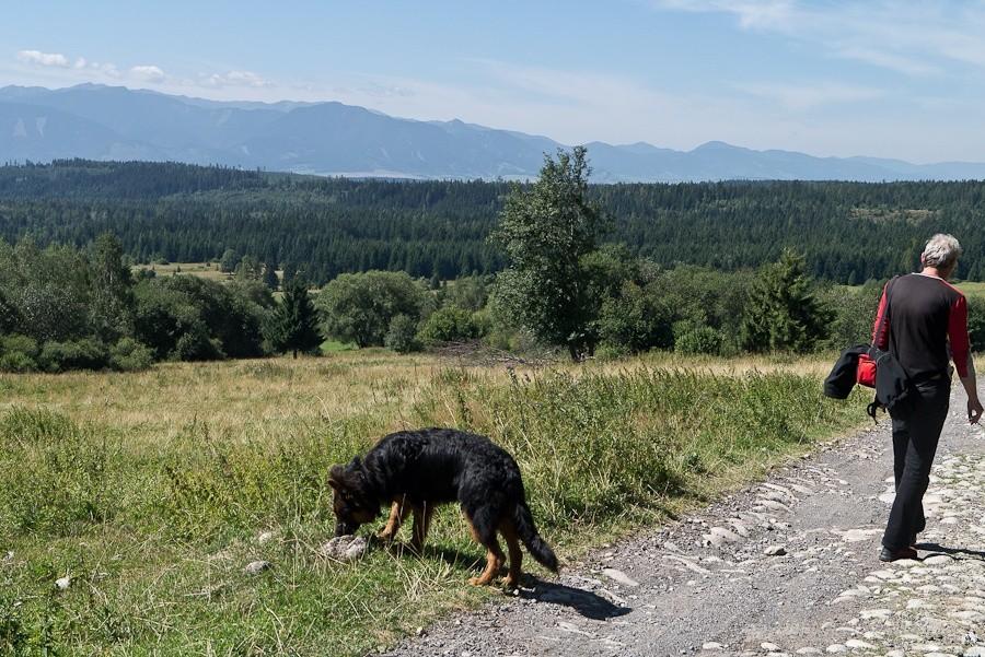 dlaczego pan tego nie obwąchuje, tylko tak pędzi?