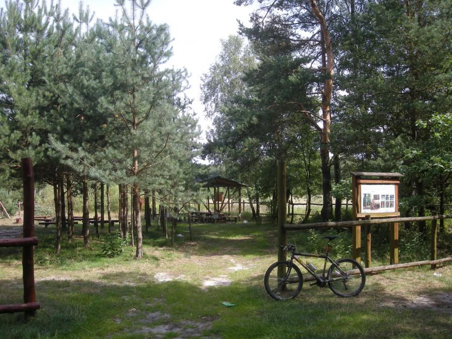 Starcza - leśna klasa.