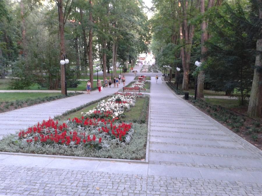 Deptak w parku zdrojowym Polanica.