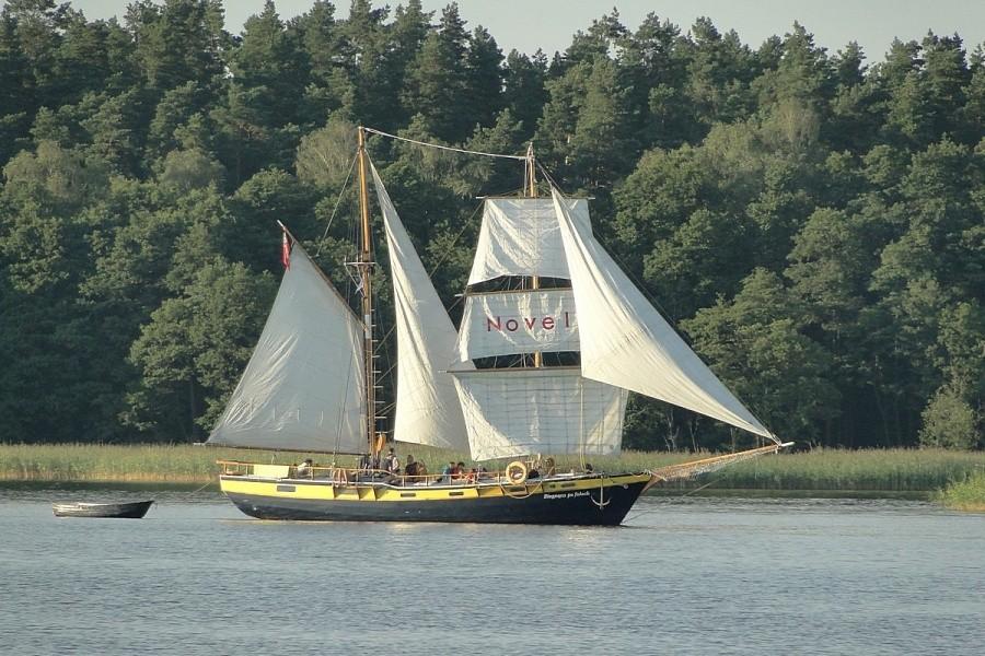 Białe żagle