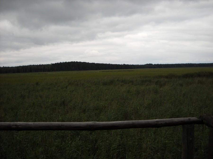 Piskory - Punkt widokowy