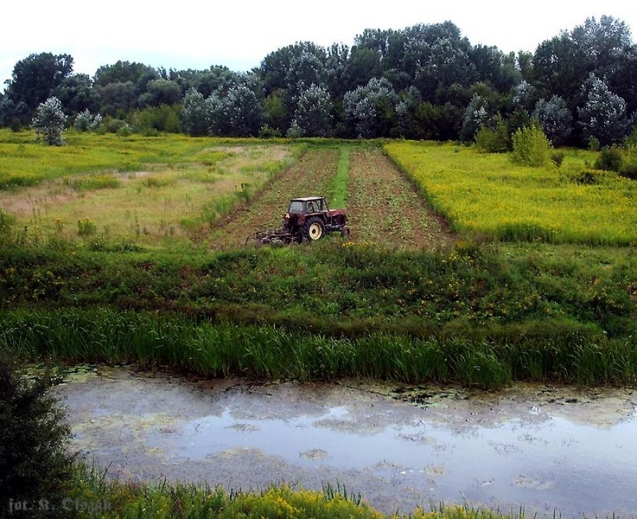 Ostatni Mohikanin