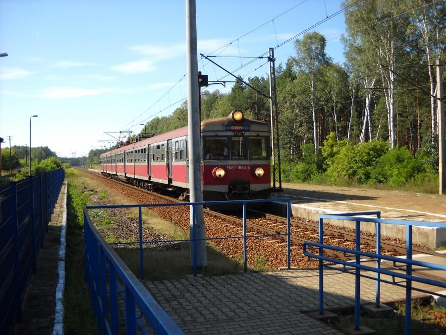 PKP Gołąb