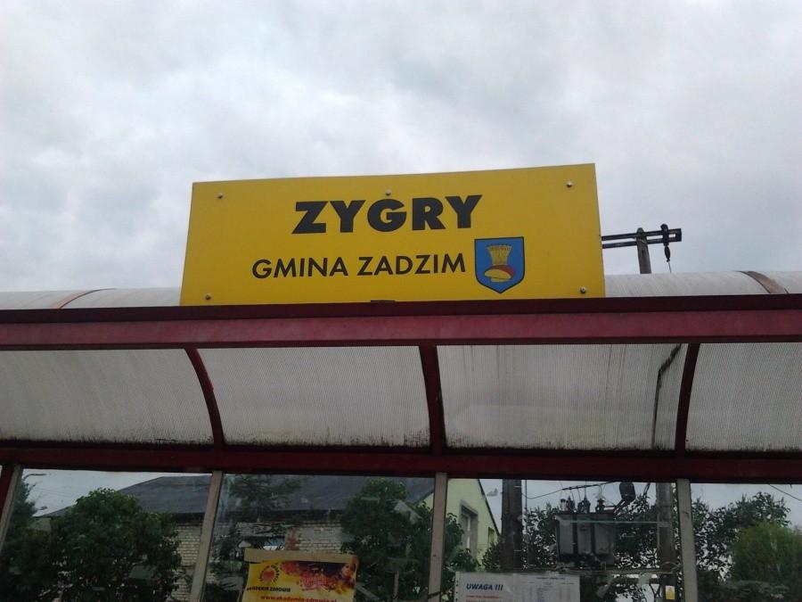Pierwszy przystanek. Zygry