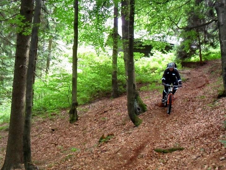 Gdzieś w Rychlebach
