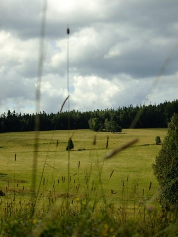Hranicky przez trawy