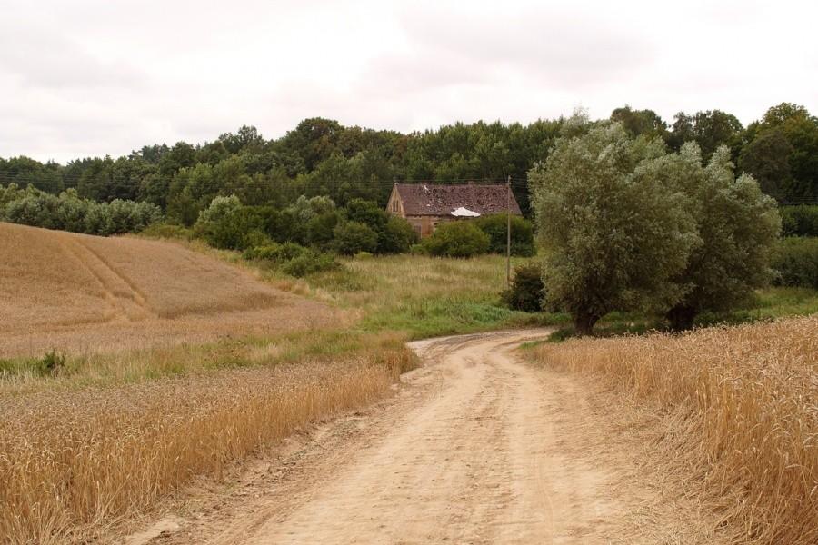 Polna ścieżka na Szlaku Grzymisława