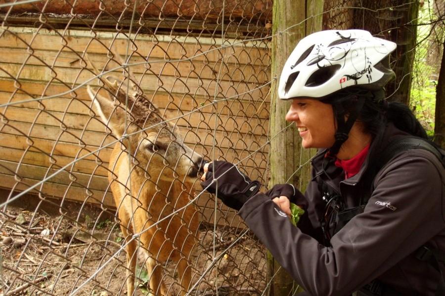 Ja z sympatycznym jelonkiem „Bambi”