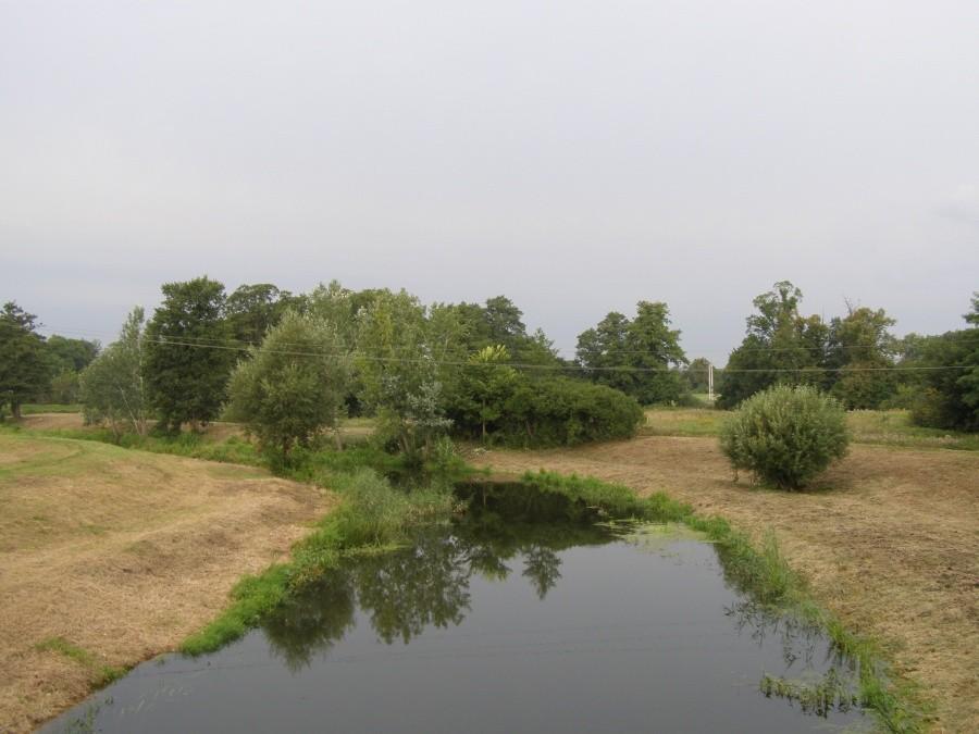 Widawa na Psarach