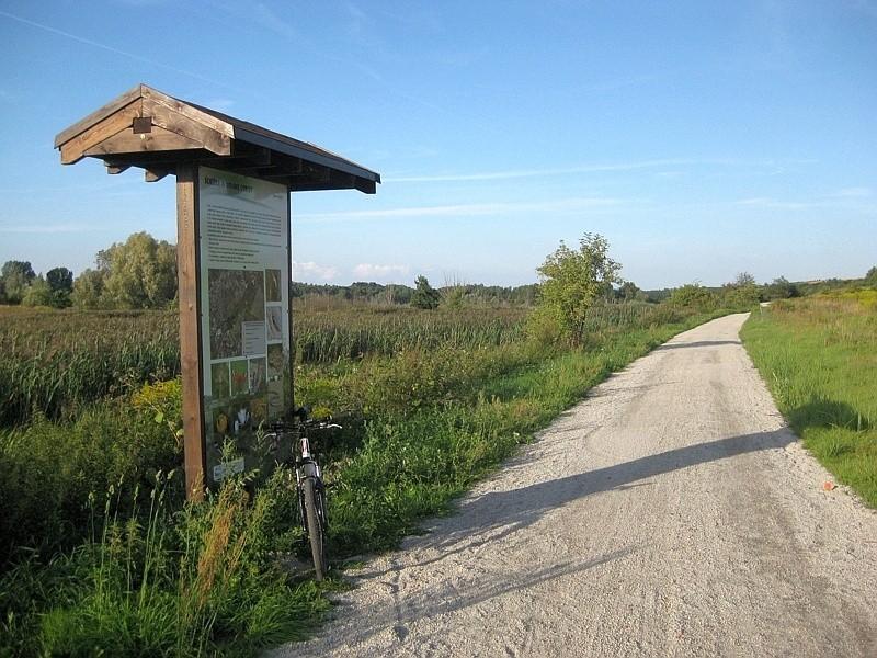początek ścieżki
