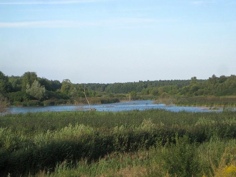 Widok na pradilinę Cybiny