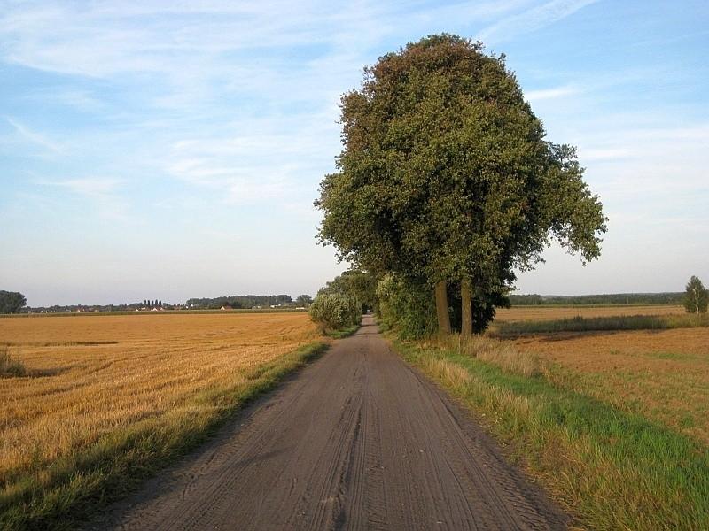 Droga Uzarzewo - Biskupice