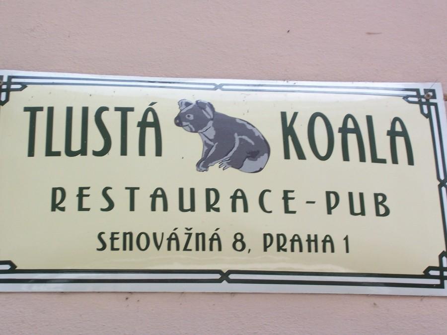 restauracja - Tłusta Koala