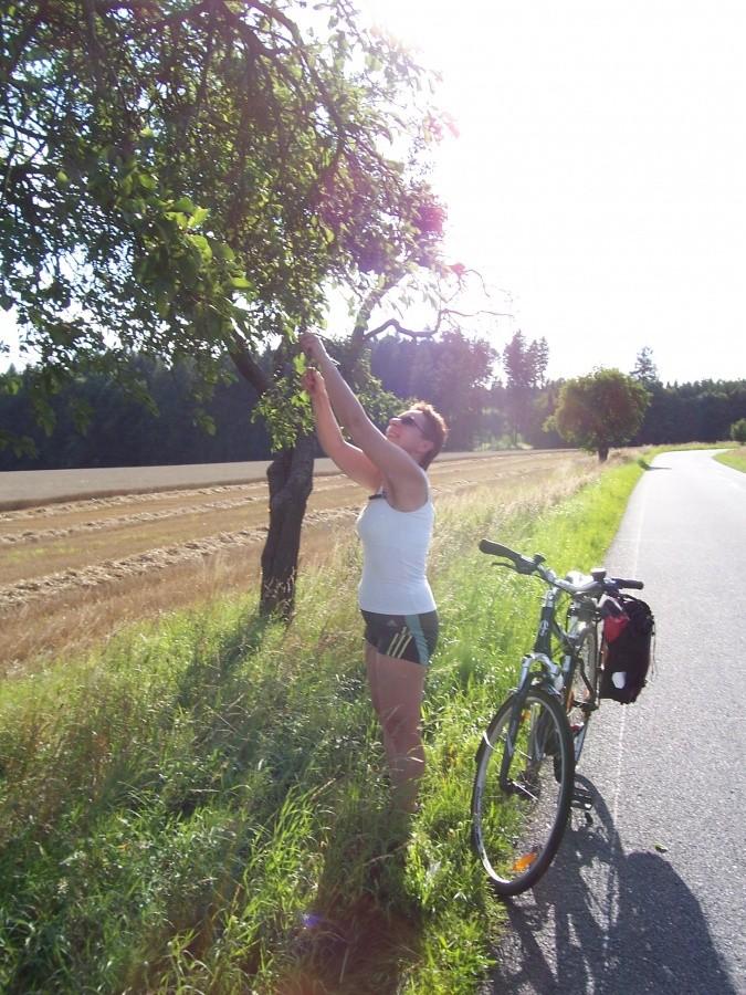 okolice Zruč nad Sázavou