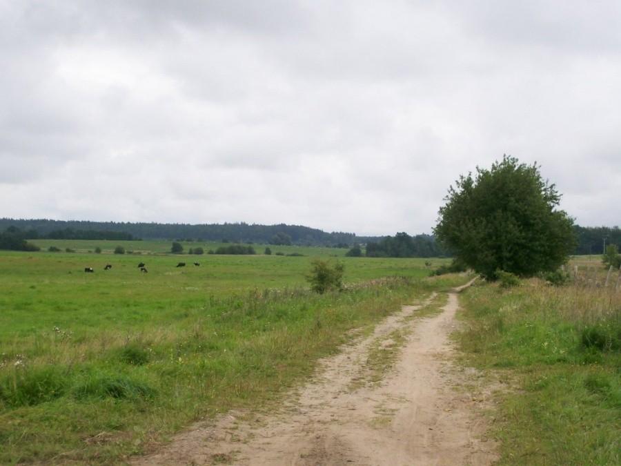 szlak zwiniętych torów w połowie drogi do Rowów