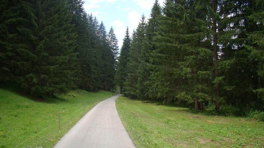 Kolejna idealna ścieżka