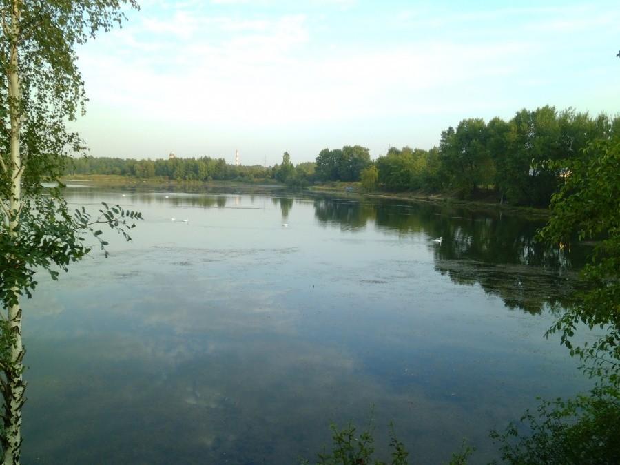 Katowice: Stawiki