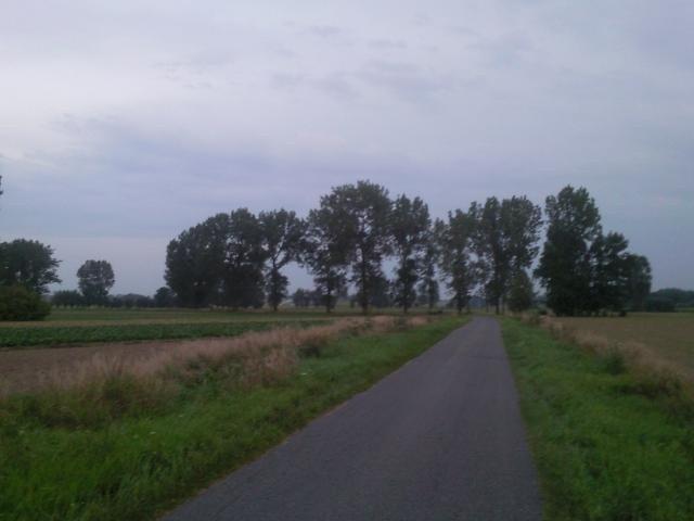 Wiejskie drogi