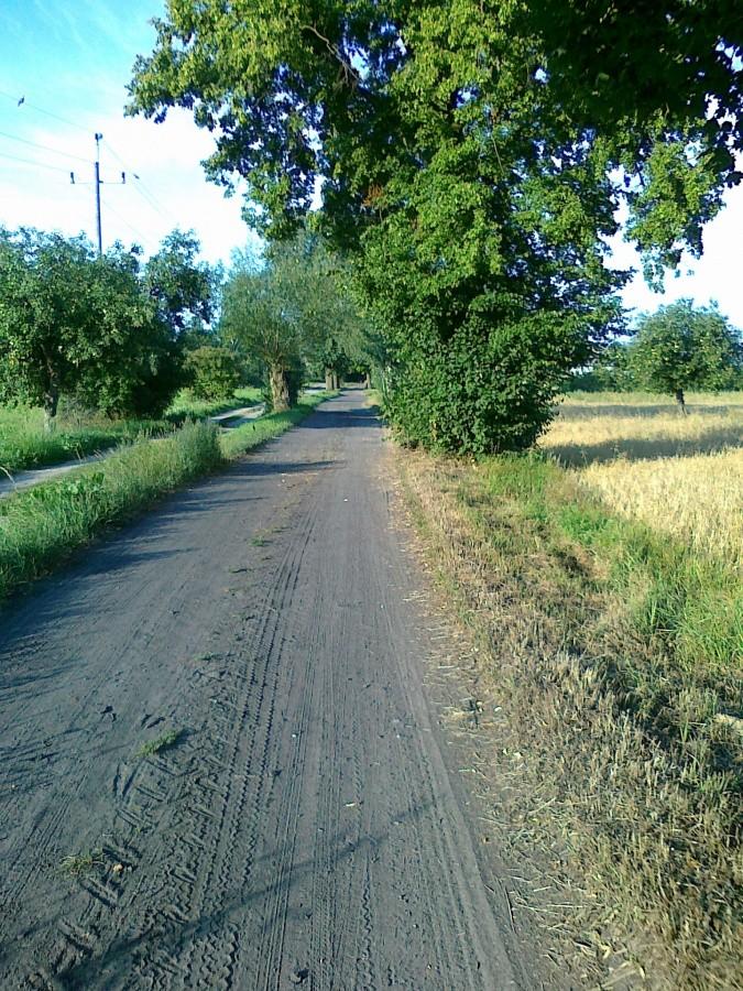 Droga zaczynała się przyzwoicie