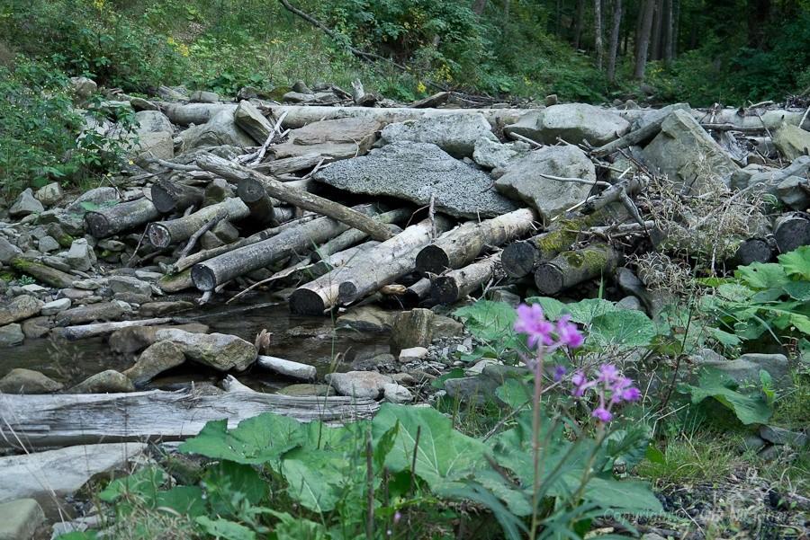 jeszcze niedawno był tu mały wodospadzik
