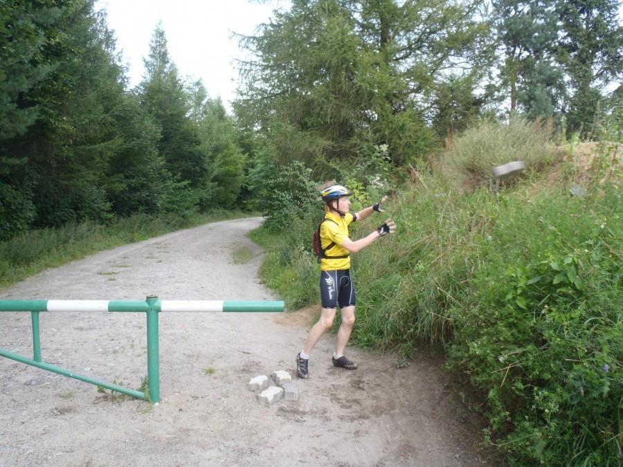 Rzut kostką brukową