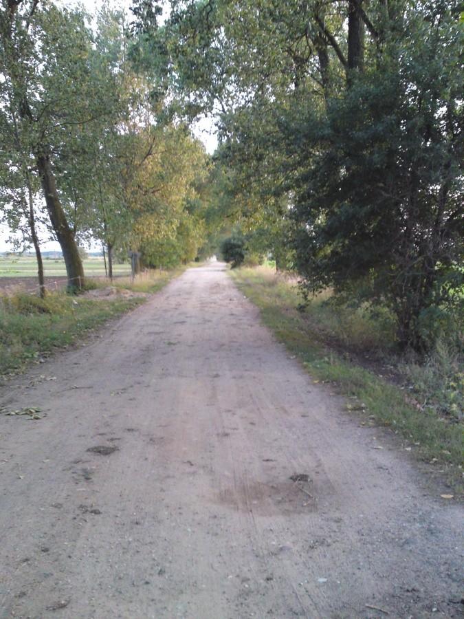 W okolicach Ochli za Kołem