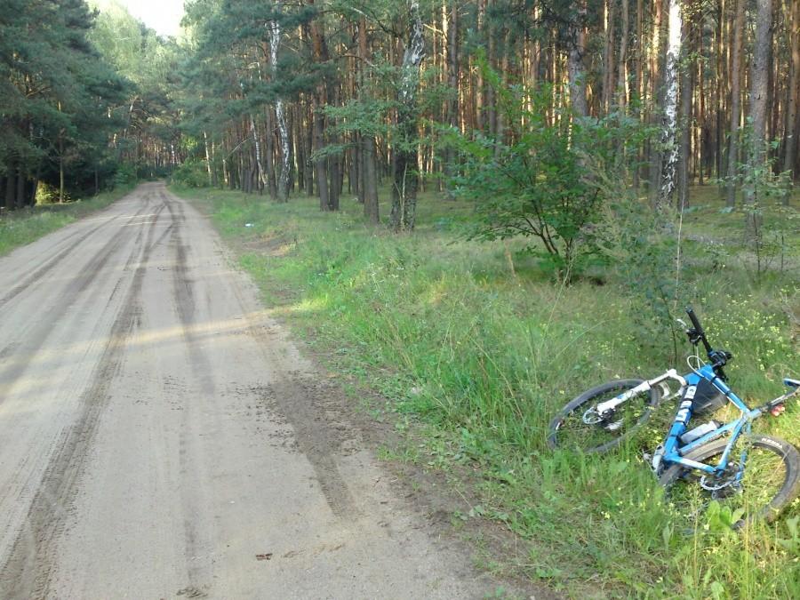 Na trasie w okolicach Budy Przybyłowskiej