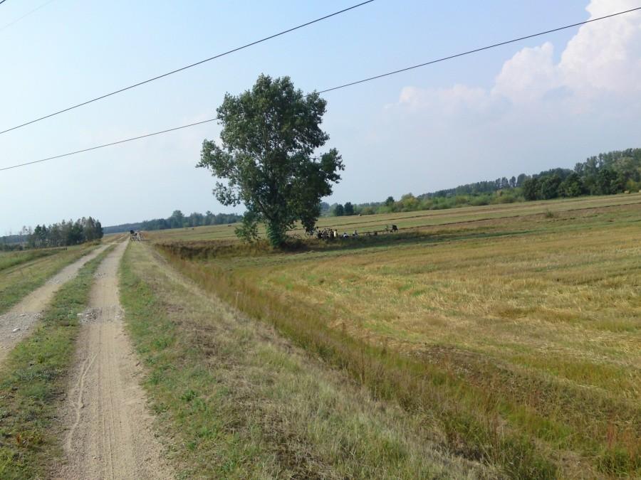 Za Uniejewem spotykam gromadkę odpoczywających rowerzystów