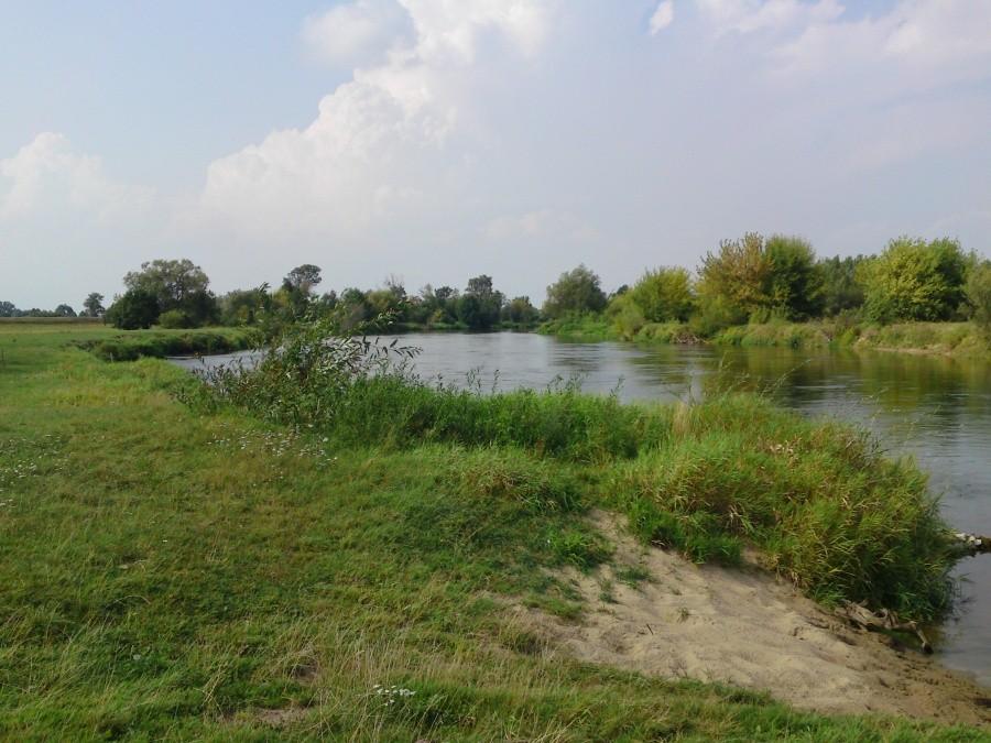 Warta